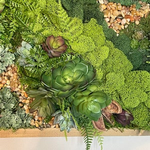 Puede incluir: Una pieza de arte de pared de musgo verde con suculentas y peque&ntilde;as piedras. El musgo es de una variedad de tonos de verde y las suculentas son de una variedad de tonos de verde y marr&oacute;n.