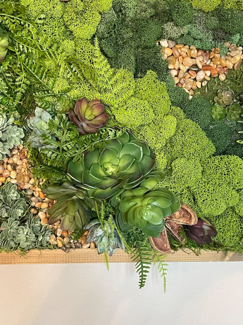 Puede incluir: Una pieza de arte de pared de musgo verde con suculentas y peque&ntilde;as piedras. El musgo es de una variedad de tonos de verde y las suculentas son de una variedad de tonos de verde y marr&oacute;n.