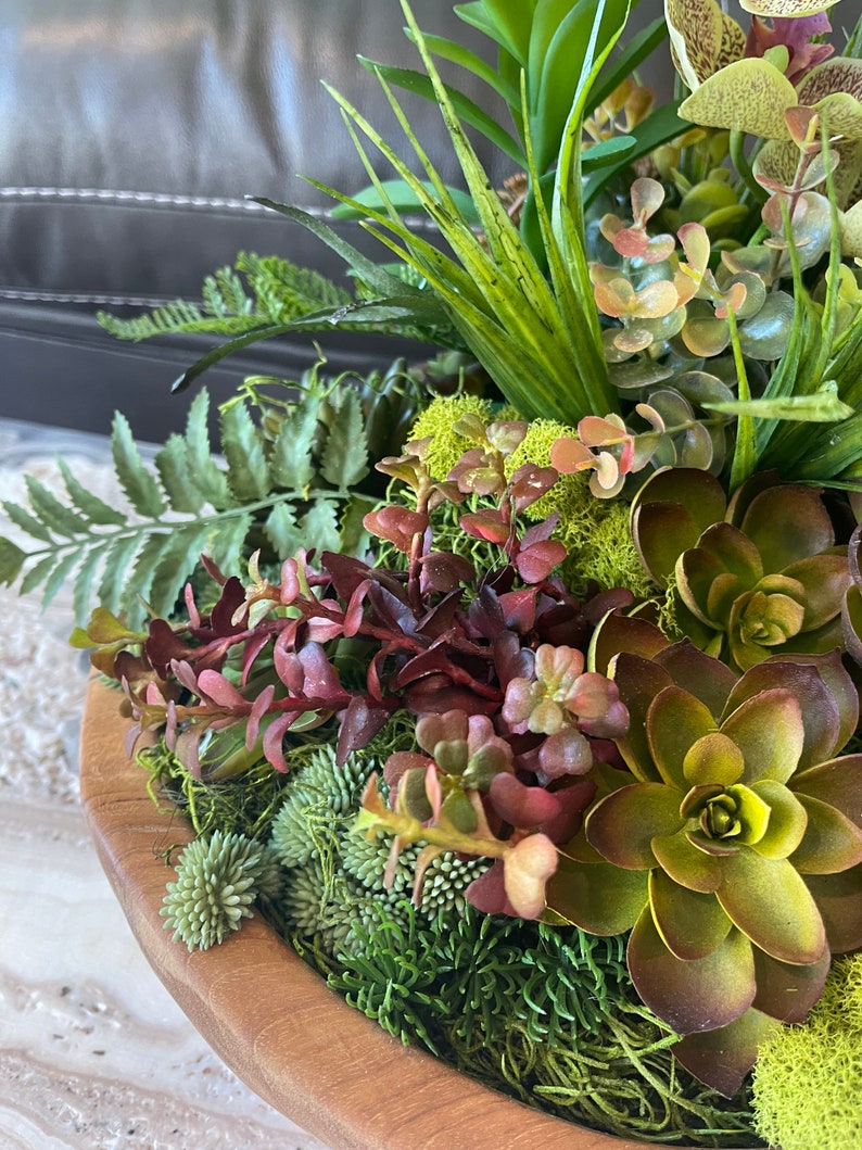 May include: A wooden bowl filled with a variety of green and brown succulents, ferns, and moss. The bowl is made of natural wood and has a rustic look.