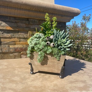 NEW. Faux Succulent Arrangement. Succulent Decor. Succulent Centerpiece.  Tabletop Decor. Elegant Centerpiece.