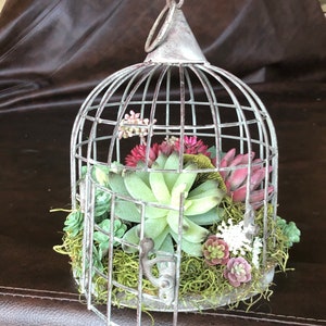 2 Pcs Floral Foam Cage Flower Holder With Floral Foam For Flowers Cage Bowl  For Table Centerpiece F