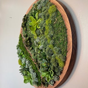 May include: A round wooden frame with a green moss and succulent wall art. The frame is brown and the moss and succulents are various shades of green.