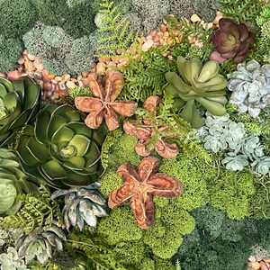 Puede incluir: Una pieza de arte de pared de musgo verde con varias suculentas y flores secas en forma de estrella. El arte de pared est&aacute; hecho de musgo y plantas preservadas.