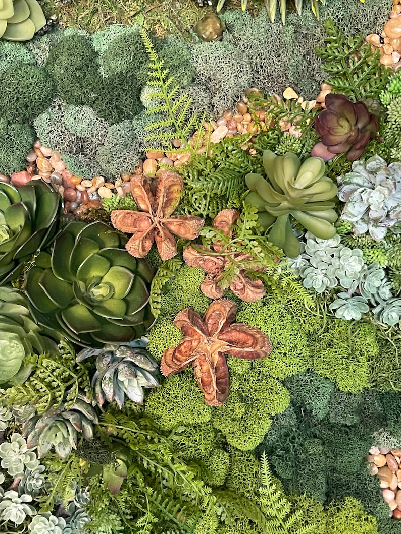 Puede incluir: Una pieza de arte de pared de musgo verde con varias suculentas y flores secas en forma de estrella. El arte de pared est&aacute; hecho de musgo y plantas preservadas.