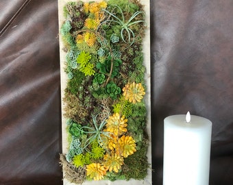Succulent Wall Art. Wall Succulent. Wall Decor. Floral decor. Vertical garden. Farmhouse. Southwestern. Western. Tropical.