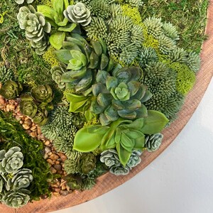 May include: A round wooden wall decor piece featuring a variety of green succulents and moss. The succulents are arranged in a circular pattern, with the moss filling in the gaps between them.