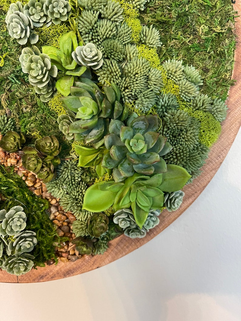 May include: A round wooden wall decor piece featuring a variety of green succulents and moss. The succulents are arranged in a circular pattern, with the moss filling in the gaps between them.