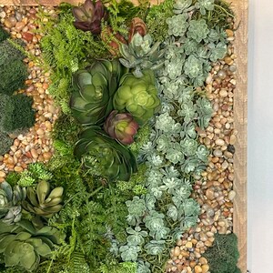 Puede incluir: Una pieza de arte de pared enmarcada que presenta una variedad de suculentas verdes y musgo, con peque&ntilde;as piedras marrones y beige esparcidas por todas partes.