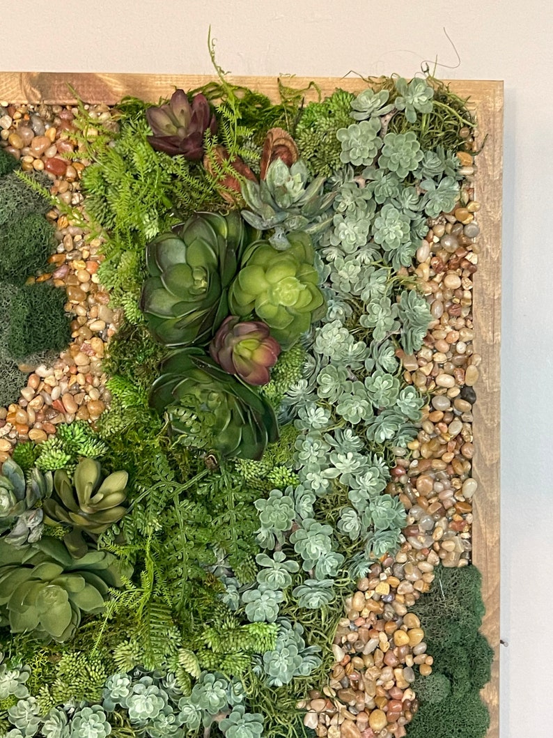 Puede incluir: Una pieza de arte de pared enmarcada que presenta una variedad de suculentas verdes y musgo, con peque&ntilde;as piedras marrones y beige esparcidas por todas partes.