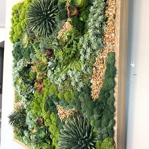 Puede incluir: Una pieza de arte de pared enmarcada que presenta una variedad de suculentas verdes y musgo, con peque&ntilde;as piedras beige intercaladas. El marco est&aacute; hecho de madera marr&oacute;n claro.