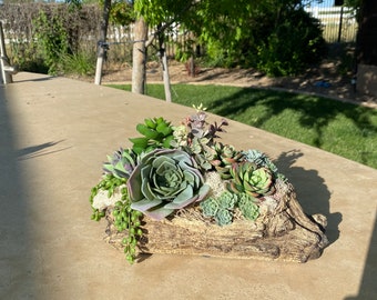 Tabletop decor. Faux Petrified Wood Planter. Faux Succulent Arrangement. Succulent Decor.
