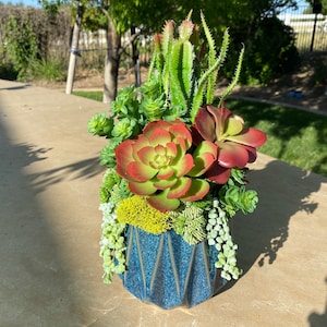 Faux Succulent Arrangement. Succulent Centerpiece. Mothers Day. Tabletop. Succulent Decor. Succulent garden.