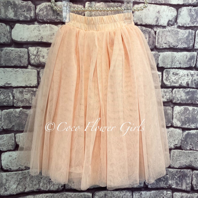 Beautiful Lace Crop Top and Long Layered Princess Tulle Skirt 2 Piece Flower Girl Boho Dress Set Blush zdjęcie 3