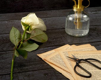 Carbon Vinyl Backdrop for Product Photography, Food Styling & Content