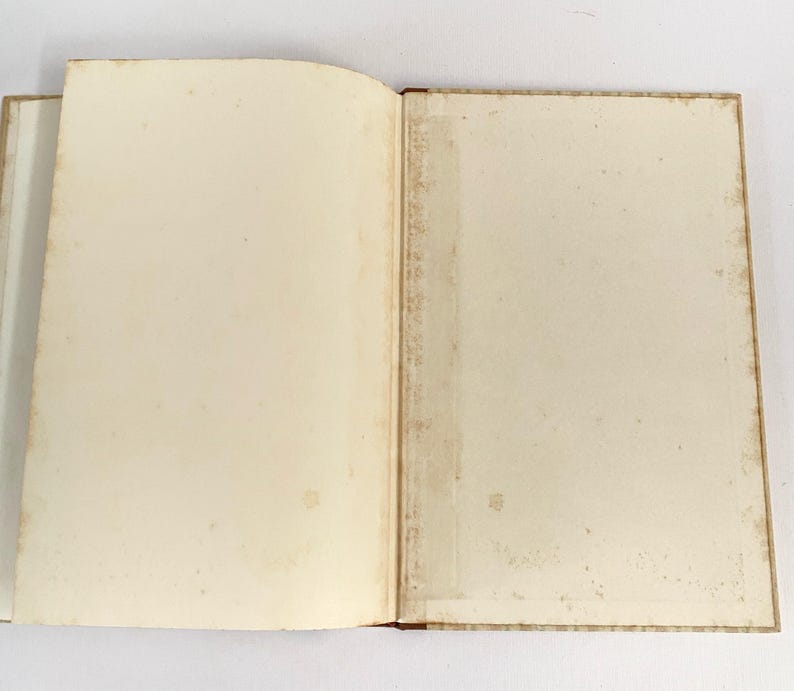 May include: An open book with aged, off-white pages. The pages show signs of wear and age, with a slightly yellowed tone and subtle spotting. The book's binding is visible, with a light brown color. The book is open, displaying the blank pages.