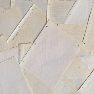 May include: A collection of aged, lined paper sheets, some with handwritten headings like "Vegetables," "Bread," and "Tomato." The papers are arranged in a scattered pattern, with visible hole punches and faded ink, suggesting a vintage or antique aesthetic.