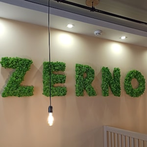 Real Moss Custom Logo Sign, Office Moss Decor, Custom Moss Sign, Custom Logo Moss Letters, Company Logo Moss, moss letter, Moss Wall Art