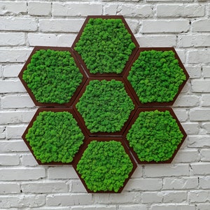 Honeycomb Moss Wall Art Set of 7, Green Moss Wall Art, Honeycomb Moss Decor, Wood Hexagon, Preserved Moss, Vertical Garden Wall Art