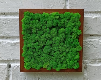 Preserved Moss Art Framed, Moss Wall Art, Nature Room Decor, Living Moss Wall Art, Preserved Moss Wall Décor, Green Wall Decor, moss art