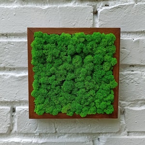 Preserved Moss Art Framed, Moss Wall Art, Nature Room Decor, Living Moss Wall Art, Preserved Moss Wall Décor, Green Wall Decor, moss art