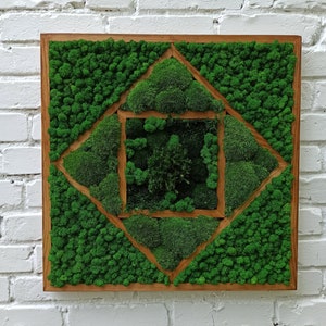 Preserved Moss Art Framed, Real Moss Decor, Living Moss Wall Art, Moss frame, Nature Room Decor, Green Wall Decor, moss decor, moss art