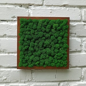 Preserved Moss Art Framed, square frame with moss, Moss frame, Nature Room Decor, Green Wall Decor, Real Moss Decor, Living Moss Wall Art