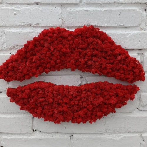 Mirrored Lips Wall Art Etsy