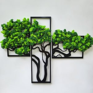 Natural Moss Wall Art, Bonsai Moss Tree 3 Panels, Bonsai Home Decoration, Triptych 3 Piece