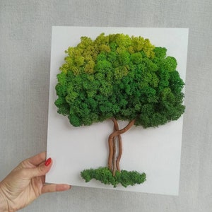 Tree of life Moss Wall Art,  Green moss wall art, Green moss tree, Moss Art, Real Moss Decor, Preserved moss art, Nature home decor