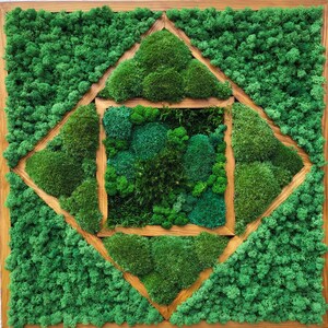 Moss Wall Art, Preserved Moss Art Framed, Square Frame, Green Moss Wall Decor, live moss decor