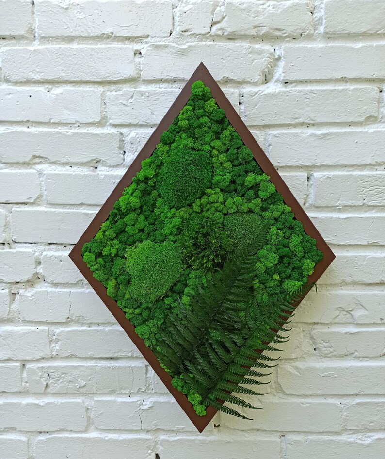 Preserved Moss Art Framed Real Moss Decor Living Moss Wall Etsy