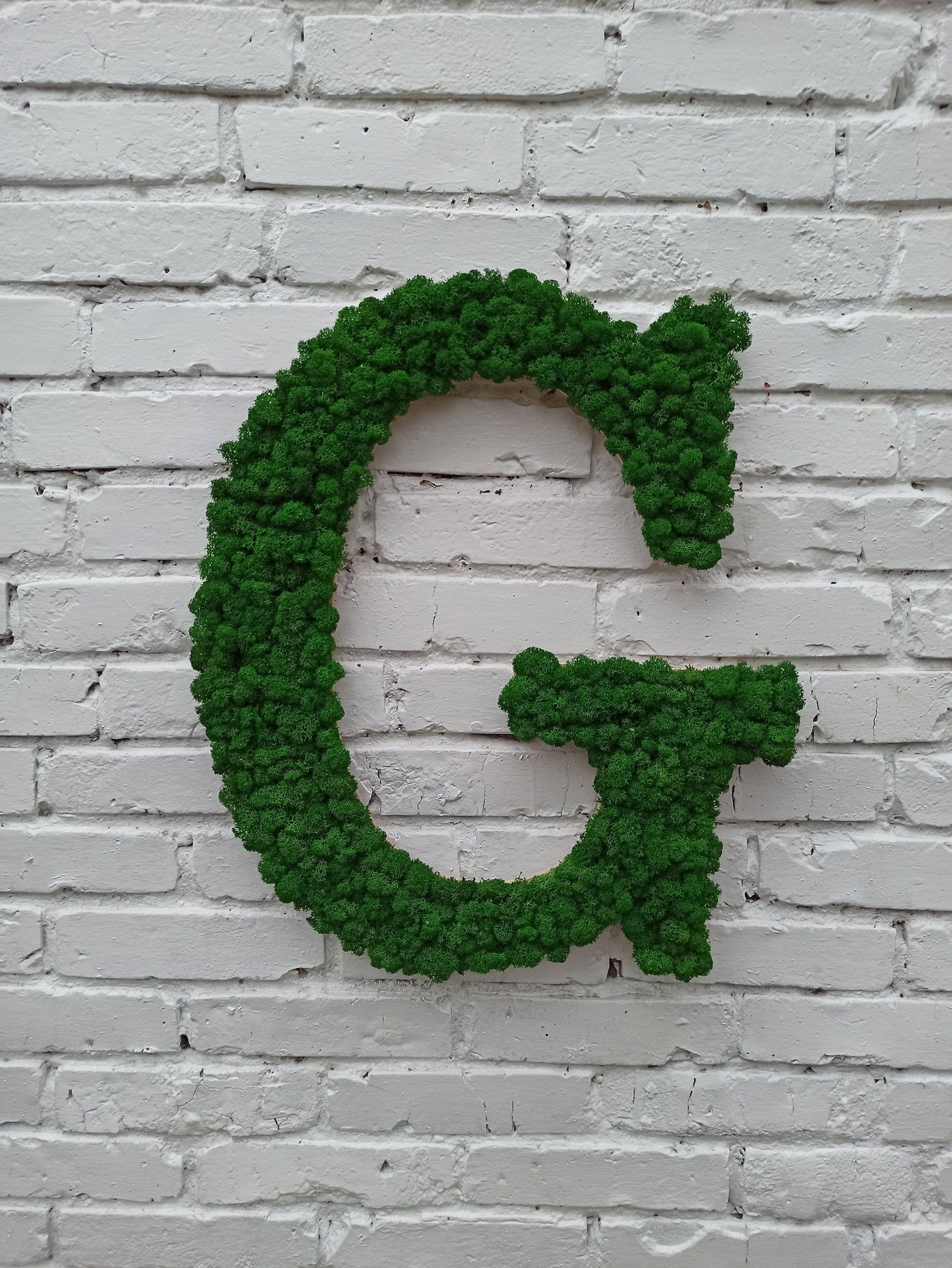 Custom Moss Letters Moss Wall Art Moss Covered Letters Moss Etsy