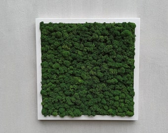 Preserved Moss Art Framed,Moss frame, Nature Room Decor, Real Moss Decor, Living Moss Wall Art, Moss Wall Art, Green wall art, moss art