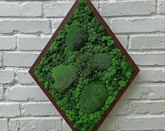 Moss art, Moss wall art, Preserved Moss, Moss frame, Real Moss Decor, Living Moss Wall Art, Nature Room Decor, Green Wall Decor, moss decor