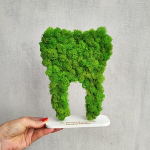 Custom Moss tooth, Dental Office Decor, Dentist office sign, Dentist Gift, Orthodontist Office Sign, Tooth Decor, Dental Gift