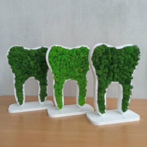 Dentist Gift, Moss tooth, Dental Office Decor, Dentist office sign, Tooth Decor, Orthodontist Office Sign, Tooth Gift