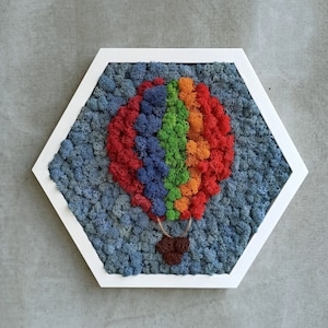 Moss wall art, Moss Wall Honeycomb, Hot Air Balloon wall decor, Kids Room, Baby room, Nursery or Living Room Decor, Honeycomb Moss Frame