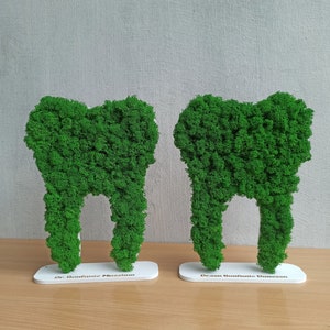 Custom Moss tooth, For Dentist Graduation Gift, Future Dentist, Dental Office Decor, Dentist Gift, Dentist sign, Orthodontist Office Sign