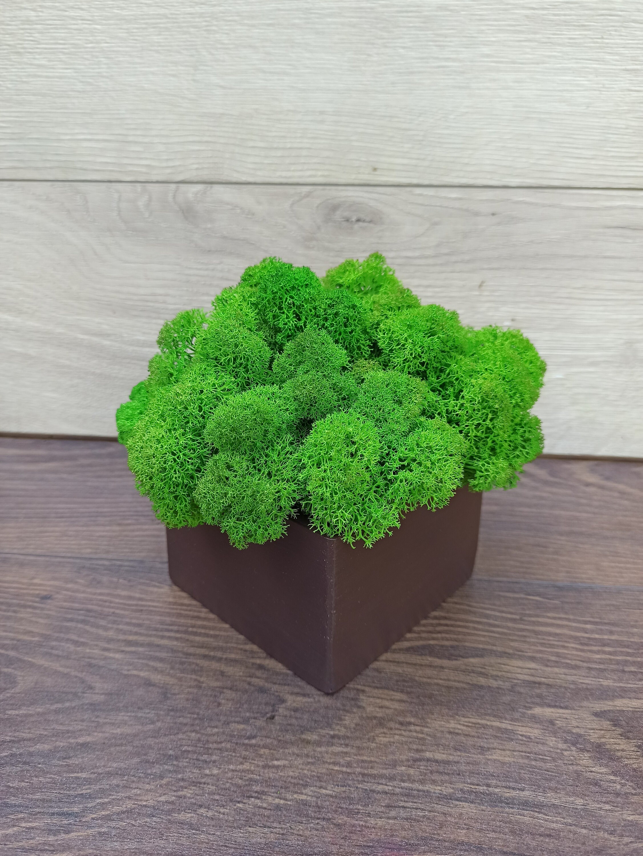 Wooden Pot With Green Stabilized Moss Real Green Moss Etsy