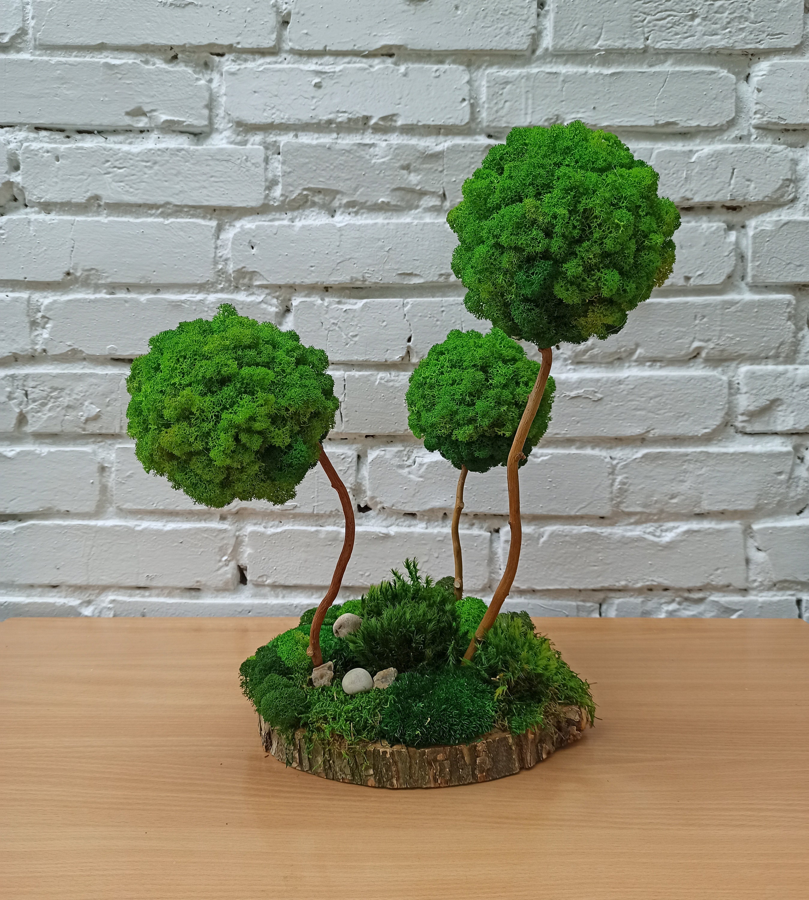 Preserved moss trees Moss Topiary eco happiness tree | Etsy