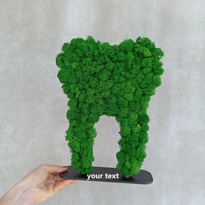 Moss tooth, Dentist Gift, Dental Office Decor, Dentist office sign,Tooth Decor, Dental Gift, Orthodontist Office Sign, Tooth Gift, Tooth Art
