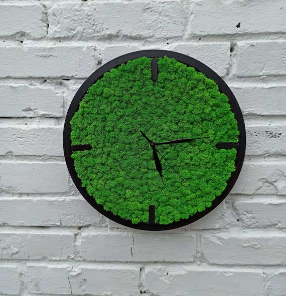 Fiordo Están familiarizados traicionar Reloj de pared de madera de musgo verde Reloj de pared de - Etsy España Fiordo Están familiarizados traicionar Reloj de pared de madera de musgo verde Reloj de pared de - Etsy España