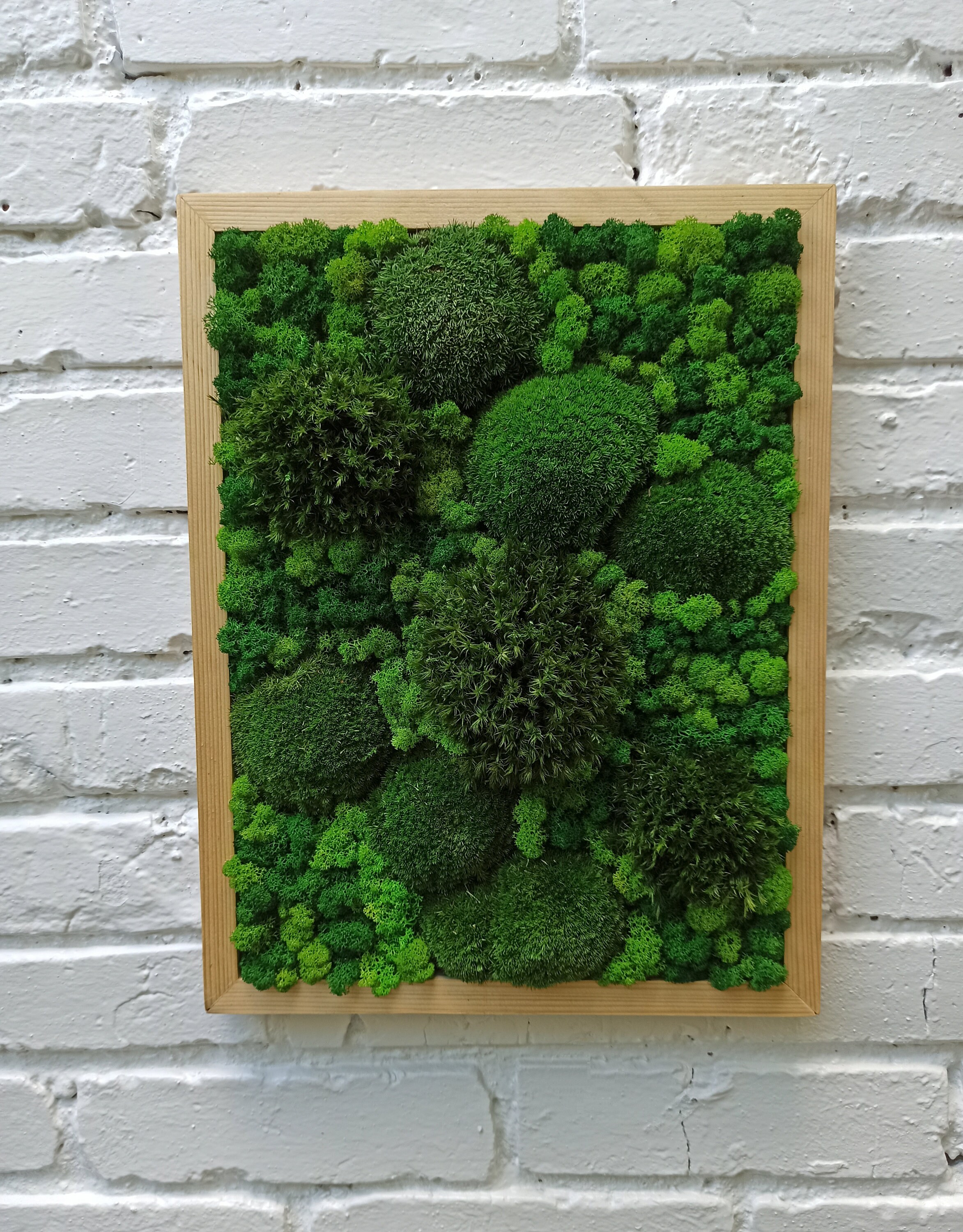 プリザーブドモスアートフレーム、グリーンウォールアート、モスアート、モスフレーム、リビングモスウォールアート、トナカイモス付きフレーム付き垂直モスウォールガーデン  - Etsy 日本