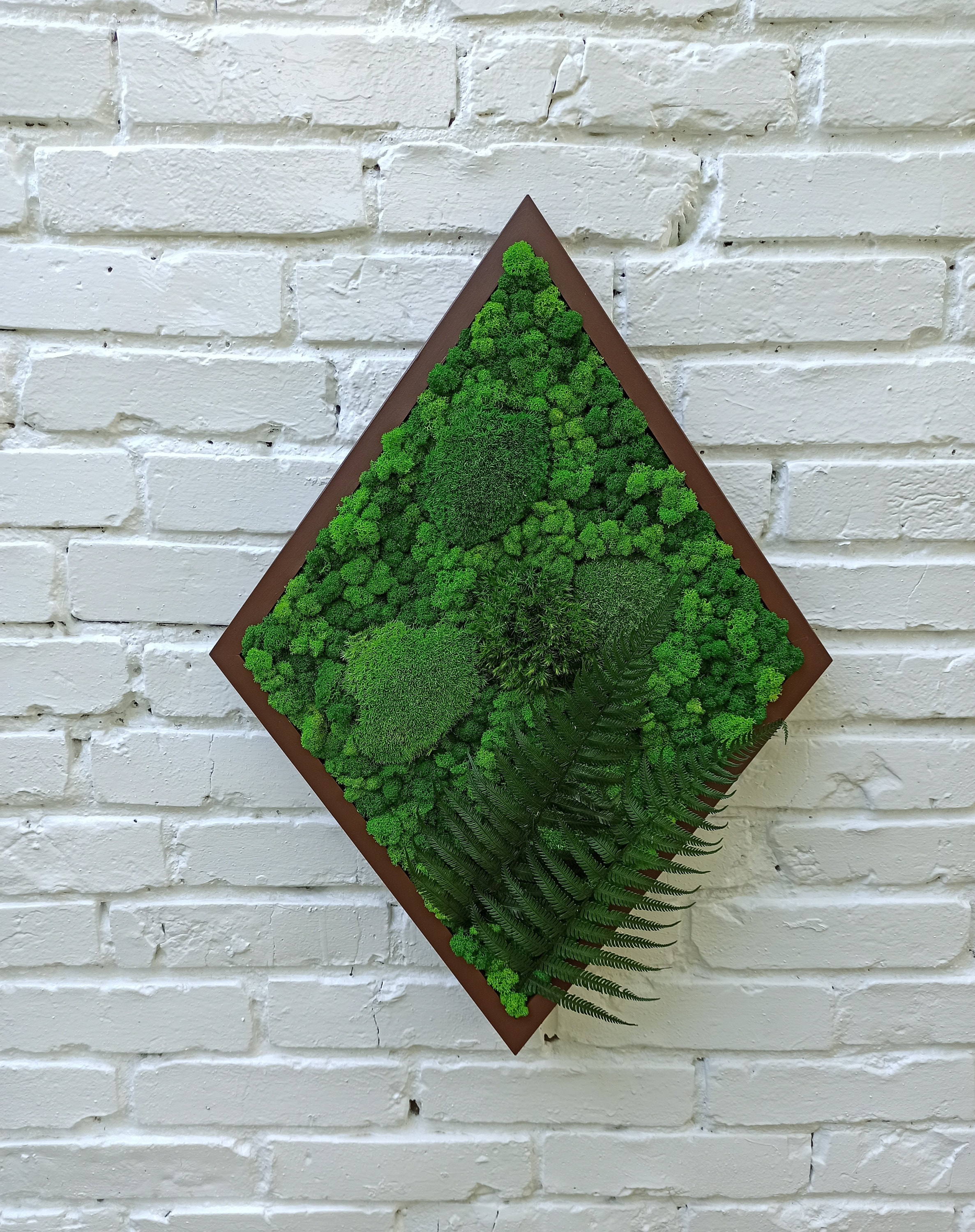 Preserved Moss Art Framed Real Moss Decor Living Moss Wall Etsy
