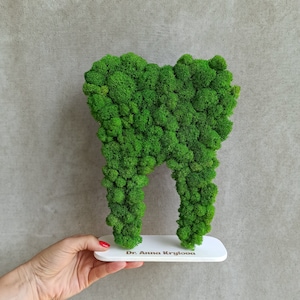 Dental Office Decor, Dentist office sign, Moss tooth, Dentist Gift, Tooth Decor, Orthodontist Office Sign