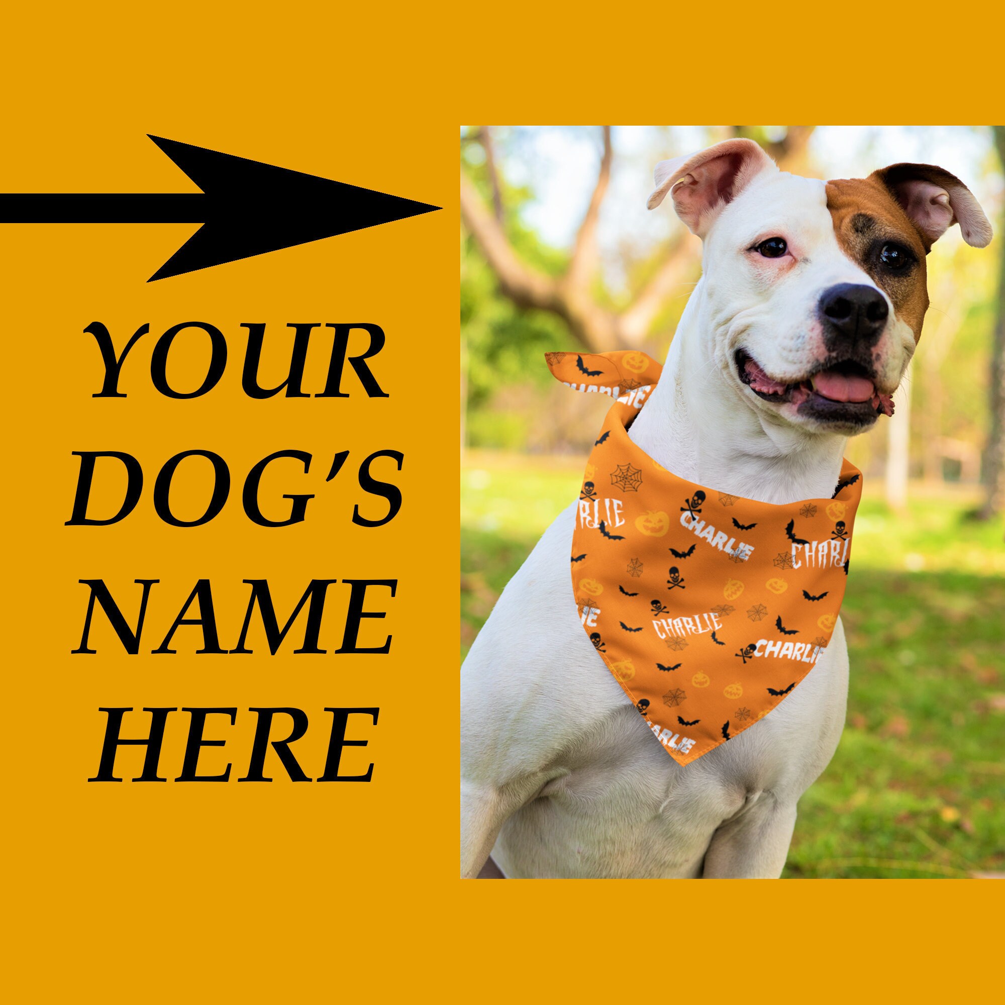 Bandana Pour Chien d'halloween Personnalisé | Nom de Bandanna Drôle d'écharpe d'automne Personnalisé