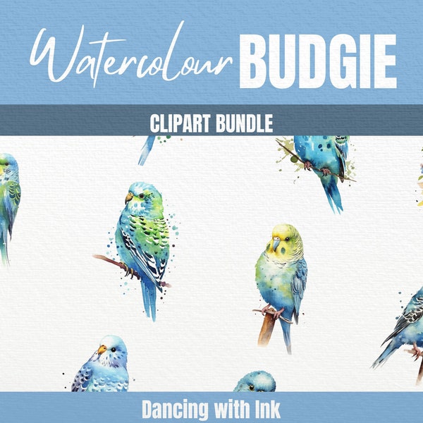 Budgie Clipart Set Cute Budgerigar Blue Green Yellow Parakeet Bird Watercolour PNG Commercial Use Printable Digital Download Tropical Pet