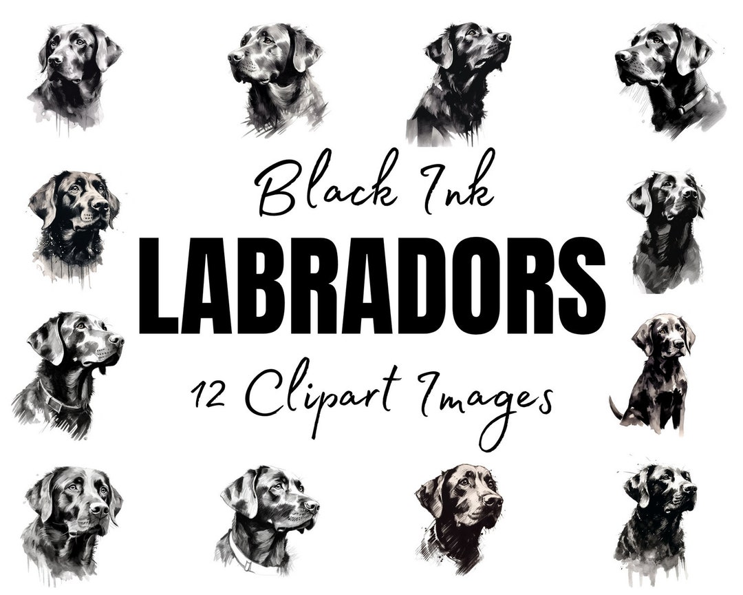 Labrador Clipart Black and White Dog Face Ink Brush Etsy