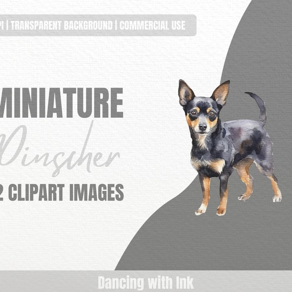 Miniature Pinscher Clipart Set Mini Pin Zwergpinscher Digital Transparent PNG Illustration Bundle Clip Art Playful Dogs Breed Pet Portrait