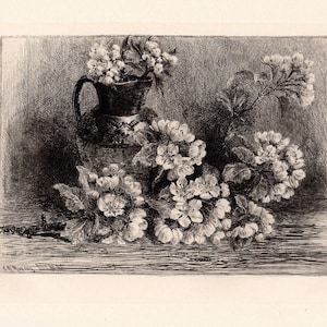 Peut inclure: Une gravure en noir et blanc d'une nature morte représentant un pichet en céramique rempli de fleurs blanches et un groupe de fleurs blanches qui s'échappent du pichet.